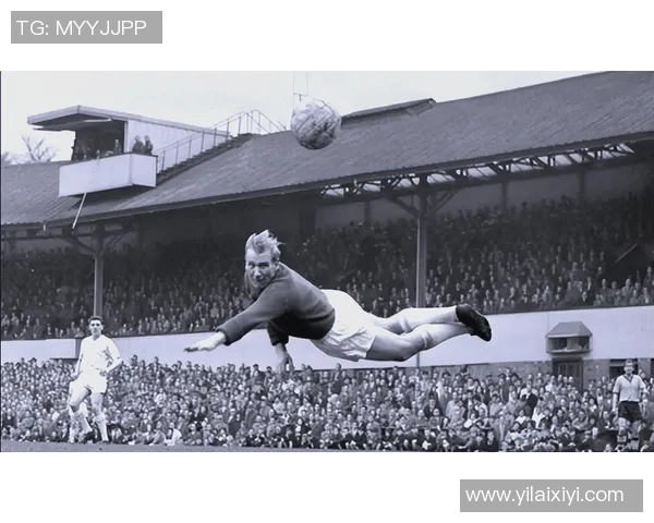 足球场上的传奇40号球星：从崛起到辉煌的精彩历程与成就解析