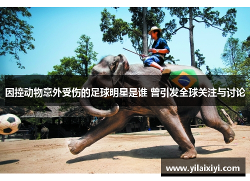 因撞动物意外受伤的足球明星是谁 曾引发全球关注与讨论